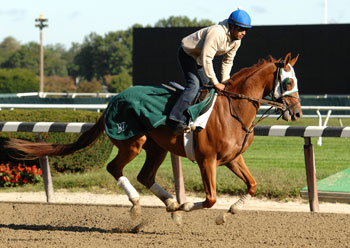 Bluegrass Jet
