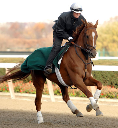 Bluegrass Jet