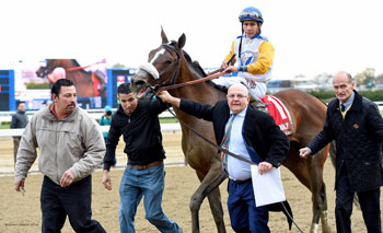 Verve's Tale lead in after winning the Comely G3